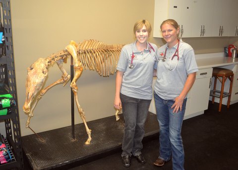 Chamber of Commerce and friends welcome K+K Veterinary Services to Lemoore Kaitlen Lawton-Betchel (left) and Kayla McCrone welcomed visitors to their new business, K+K Veterinary Services, located at 377 Hill Street in Lemoore